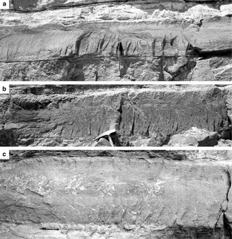 Fracture (geology) Image